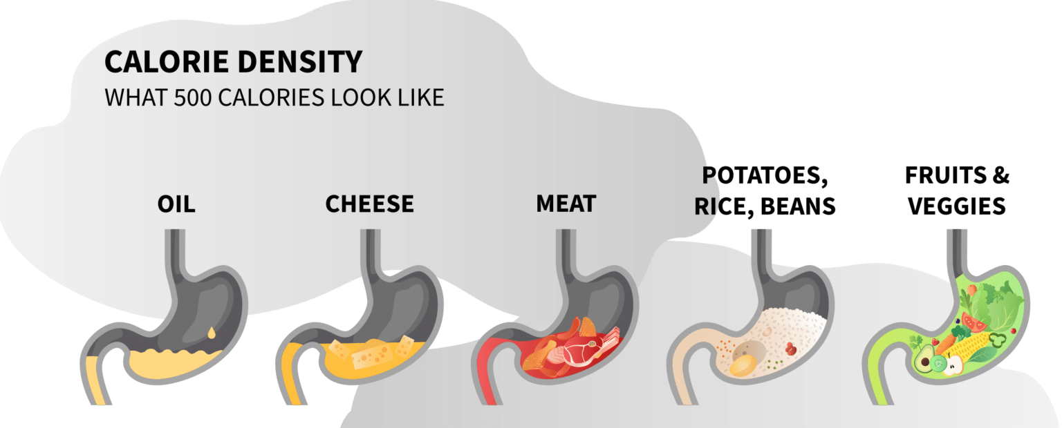 calorie-density-for-weight-loss-no-meat-athlete